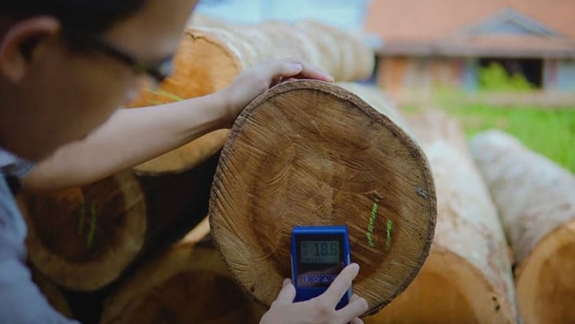 Peran Wood Moisture Meter Pada Pengolahan Kayu